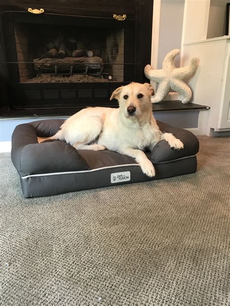 Although a typical Japanese futon setup does offer a fair amount of cushion, its harder than very soft pillow-top or memory-foam mattresses. . Wirecutter dog bed
